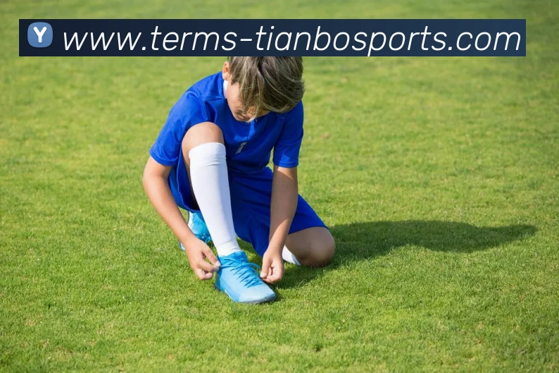 天博体育APP 封面图